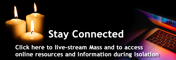 stayconnectedLong.fw.png